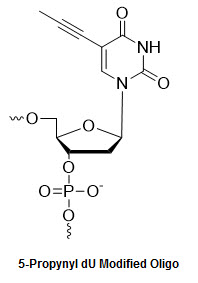 Bio-Synthesis Inc. Oligo Structure